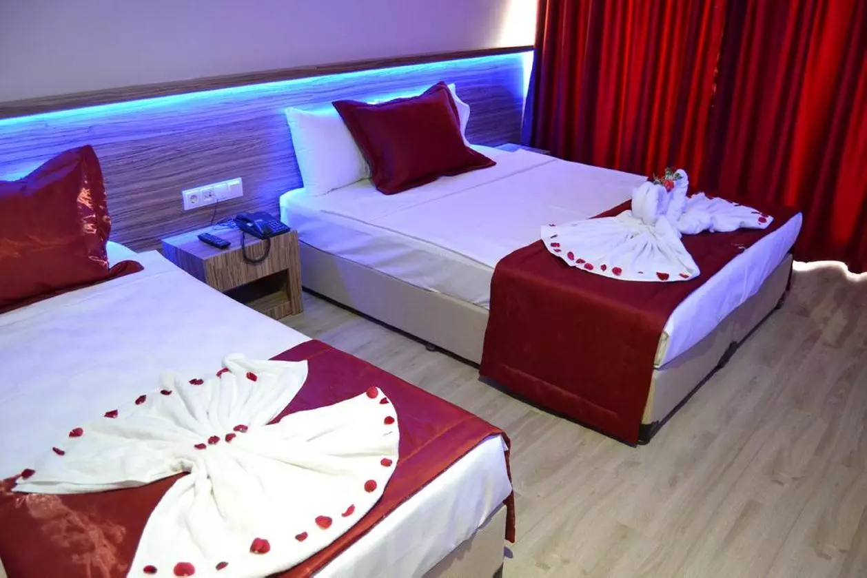 BELMARE_SHABAVIZ (22).jpg